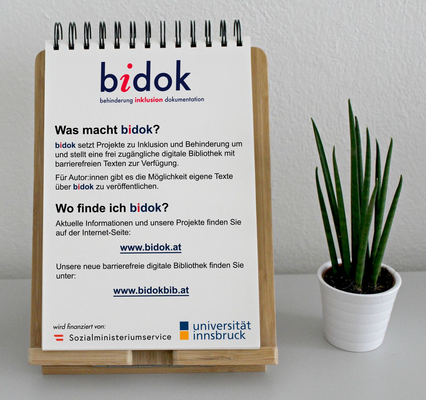 bidok Flyer mit Pflanze