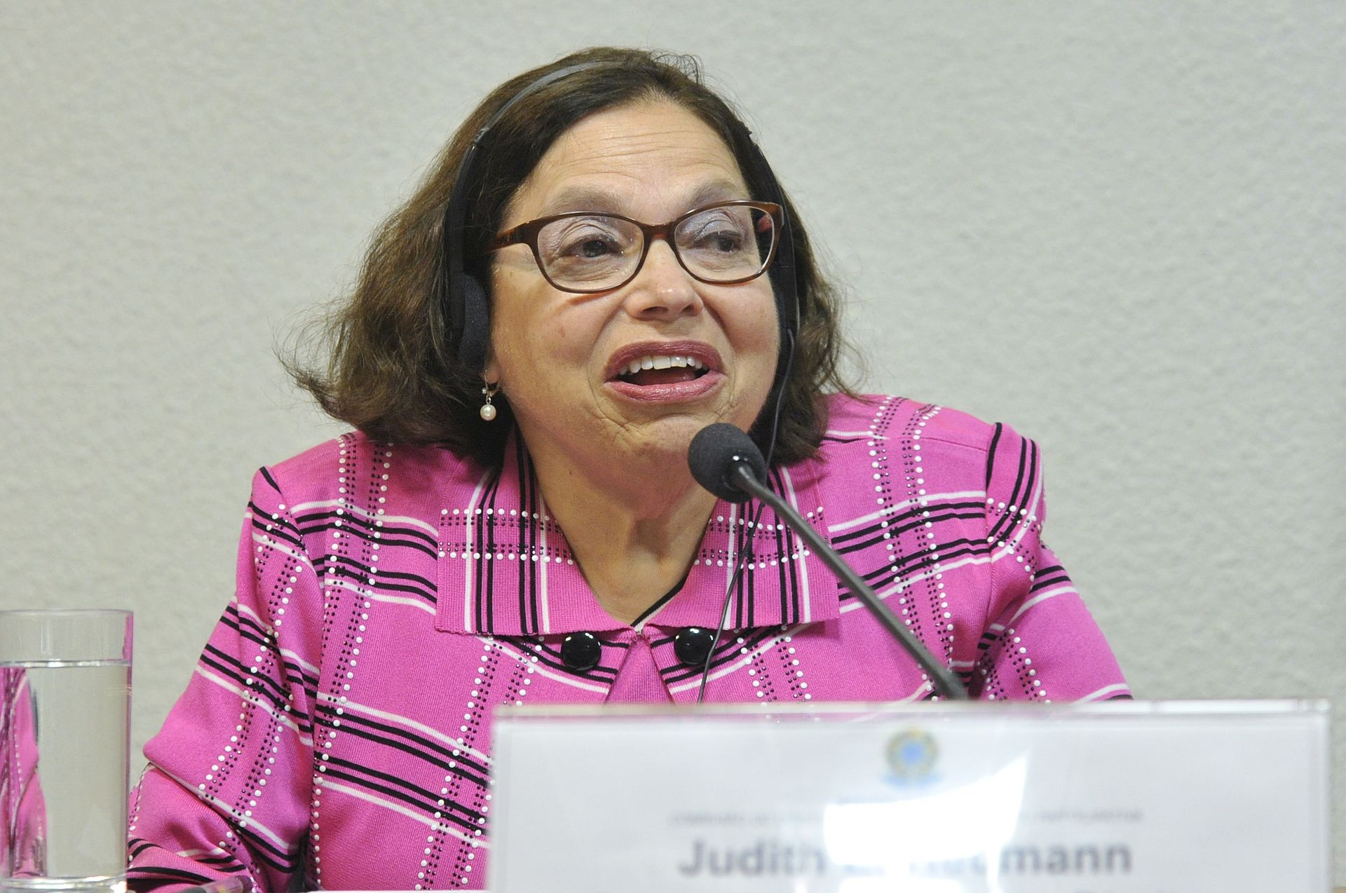 Judy Heumann 2015 bei einer Konferenz