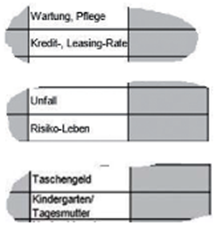 Tabelle mit verschiedenen Titeln (Wartung, Pflege,
Kredit-, Leasing-Rate, Unfall, Risiko-Leben, Taschengeld,
Kindergarten/Tagesmutter)