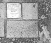 Foto eines goldenen Gedenkstein der neben üblichen Pflastersteinen
in den Boden eingelassen ist. Inschrift des Steines: Hier wohnte Irma
Sperling. Geboren 1930. Ermordet am 8.1.1944. Heilanstalt Steinhof
Wien.