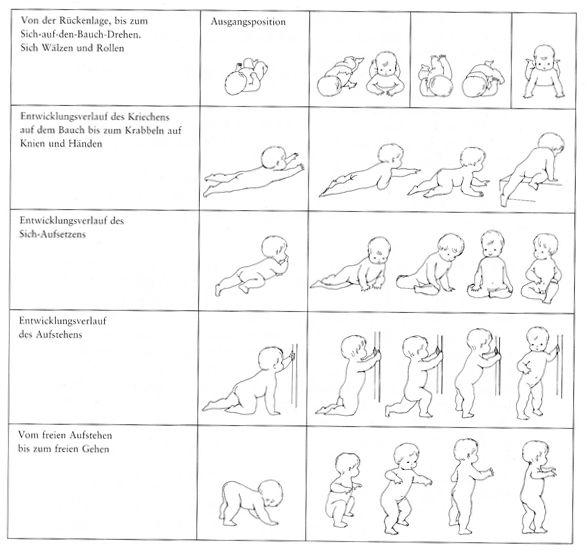 Grafische Darstellung der Bewegungsentwicklung von
Kindern anhand von fünf verschiedenen Ausgangssituationen.